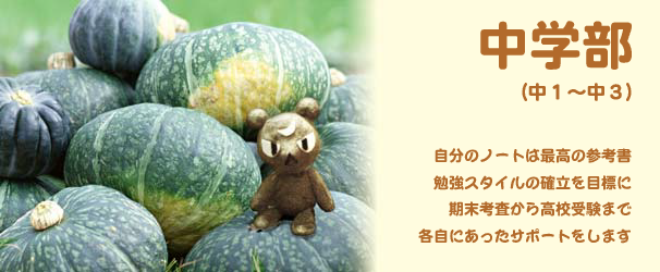 中学部のヒーローイメージ