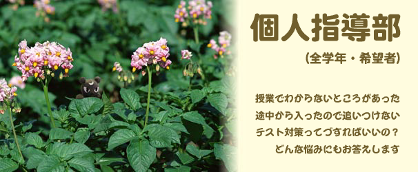 個別指導部のヒーローイメージ